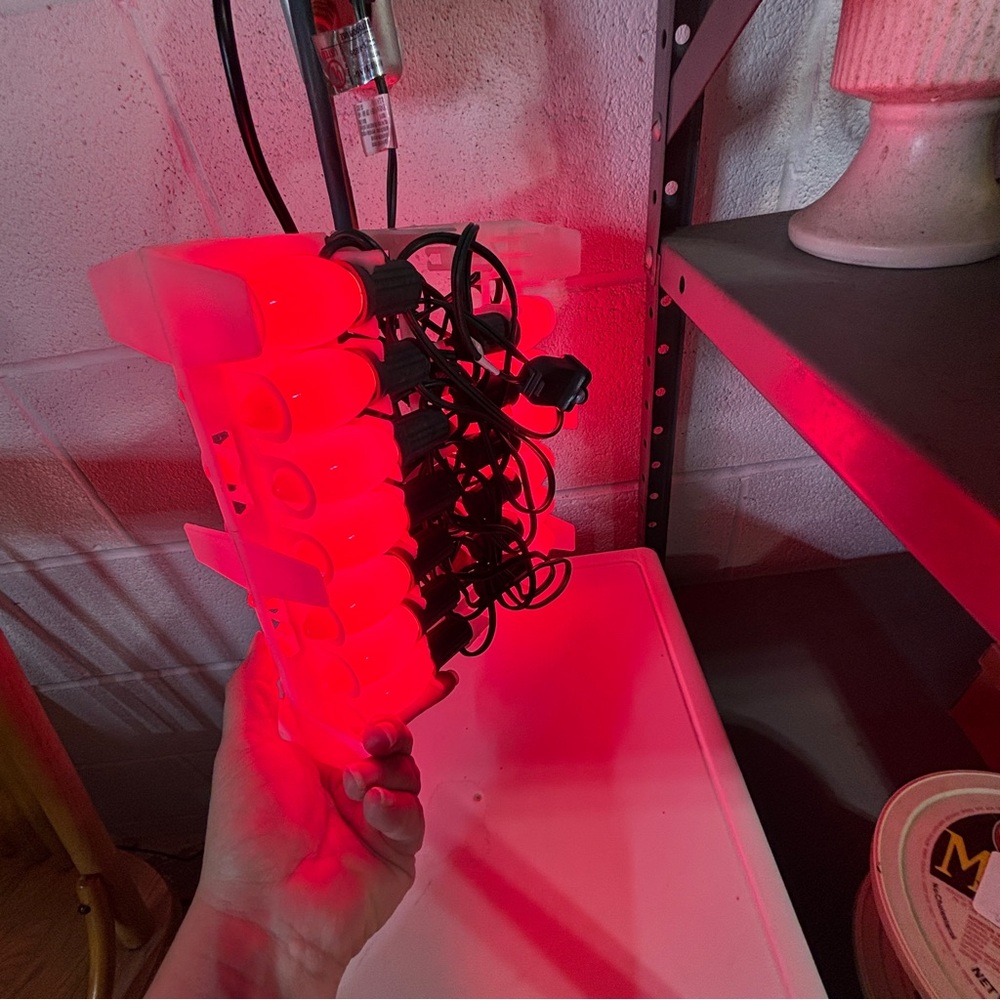 25 RED C7 Ceramic Multi Lights on Green Cord Christmas Lights - Picture 4 of 9